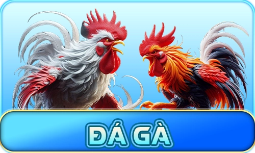 da-ga-bet88