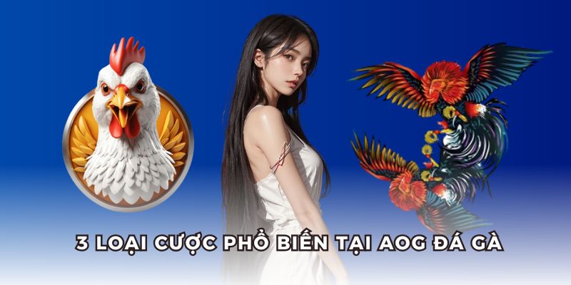3 hình thức cược với tỷ lệ ăn thưởng cao tại AOG đá gà