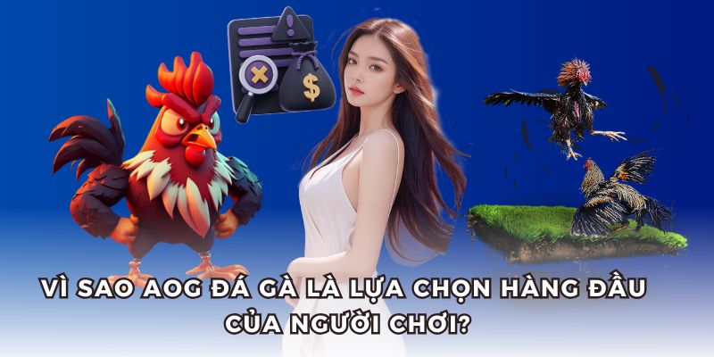AOG đá gà sở hữu tỷ lệ cược đa dạng, nạp rút nhanh chóng.