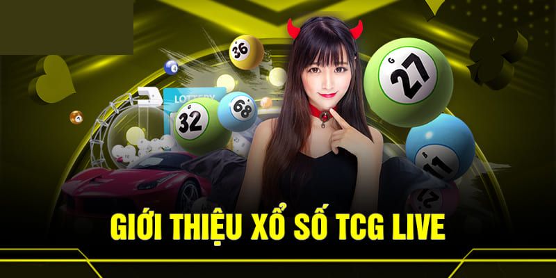 Vài nét cơ bản về sân chơi TCG xổ số
