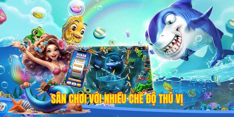 Sân chơi với nhiều chế độ, dịch vụ đặc biệt, chuyên nghiệp