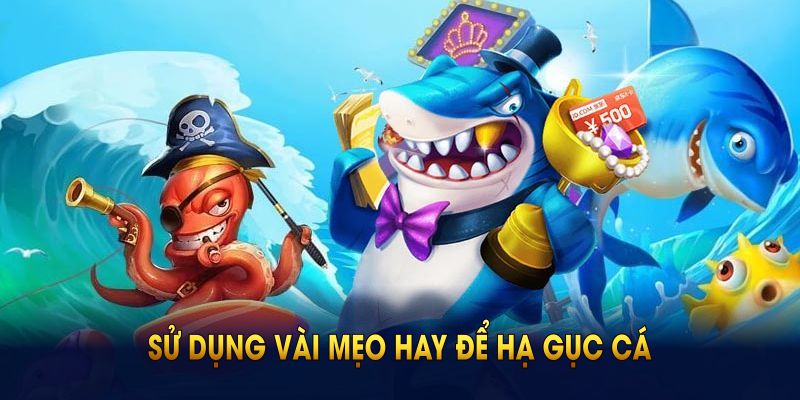 Sử dụng vài mẹo hay để hạ gục cá trên màn hình nhanh nhất